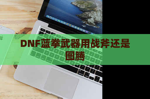 DNF蓝拳武器用战斧还是图腾